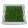 Training Pad Holder with Synthetic Grass