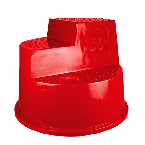 Mounting Step