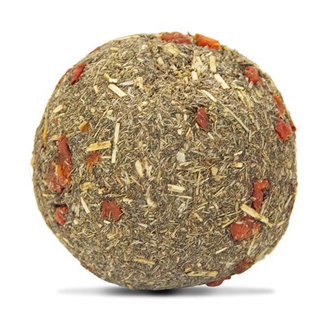 Small Animal Treat - Carrot Balls - Bag Of 10
