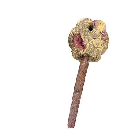 Small Animal Treat - Timothy Flowers