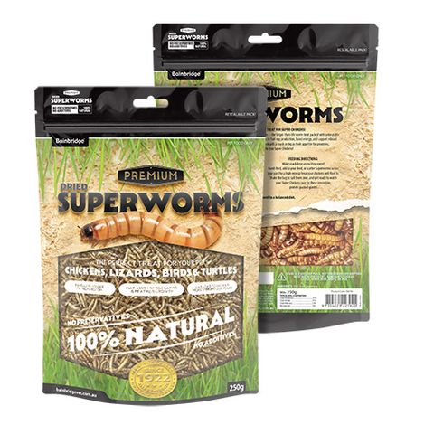 Dried Superworms